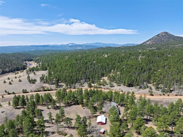 1360 Kiowa Rd, Florissant, CO 80816 - bird's eye view of a forest and a mountain backdrop