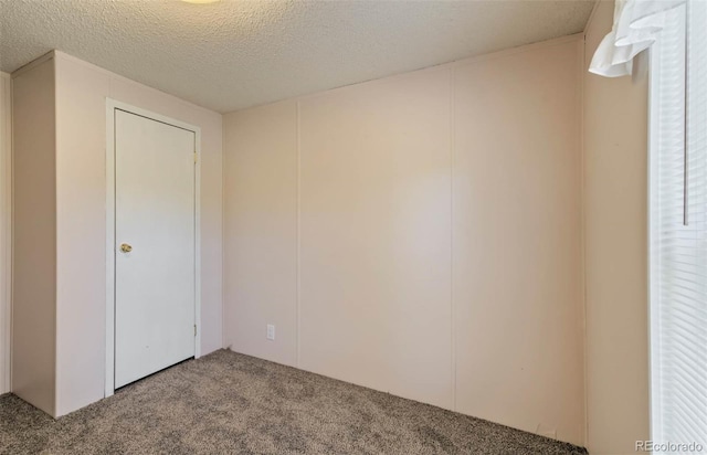 1360 Kiowa Rd, Florissant, CO 80816 - unfurnished bedroom with carpet floors and a textured ceiling