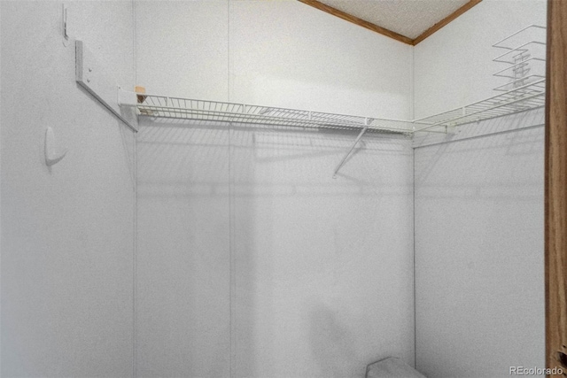 1360 Kiowa Rd, Florissant, CO 80816 - view of walk in closet