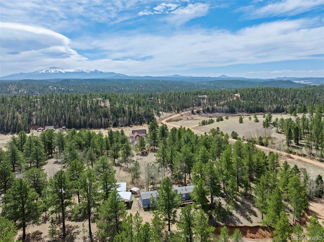 1360 Kiowa Rd, Florissant, CO 80816 - drone / aerial view of a forest and a mountain backdrop