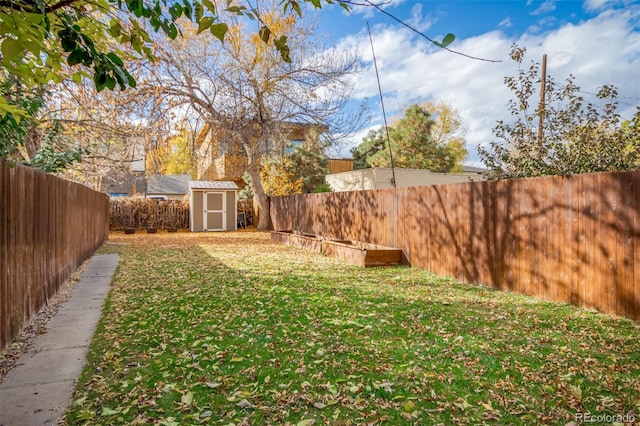 view of yard featuring a storage unit