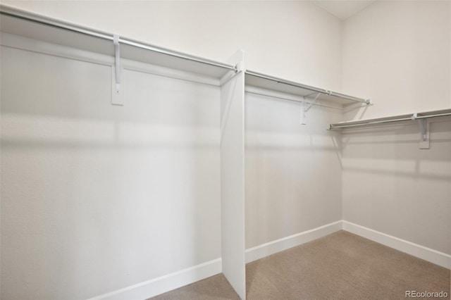 spacious closet with carpet