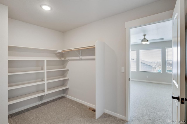 spacious closet with ceiling fan and light carpet