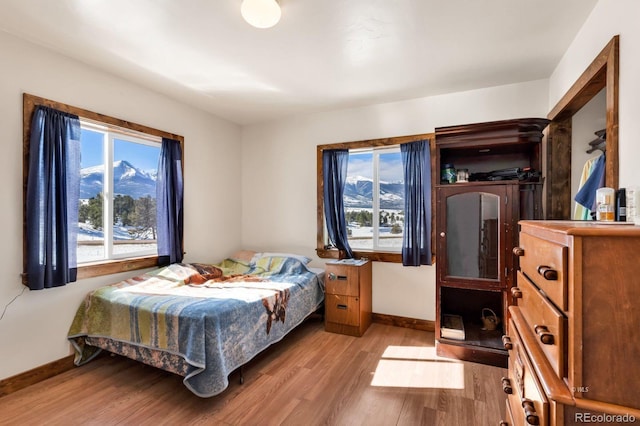 bedroom featuring multiple windows, a mountain view, and light wood-type flooring