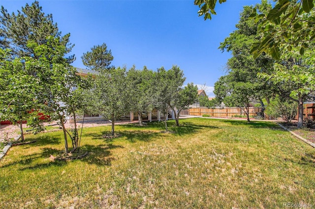 2603 W 100th Pl, Denver, CO 80260 - photo 28