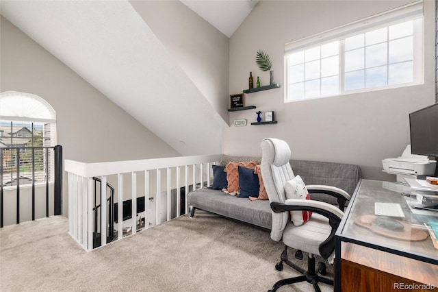 8311 S Upham Way Unit 1-207, Littleton, CO 80128 - office space featuring carpet and high vaulted ceiling