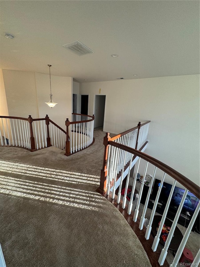 stairs with carpet flooring