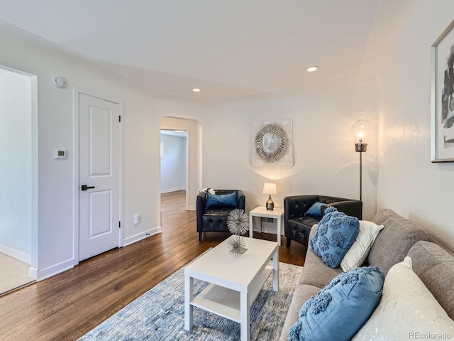 living room featuring wood-type flooring