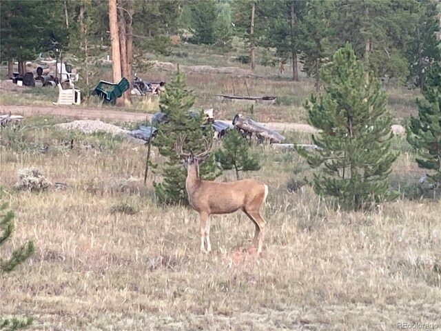 1481 Gcr 452, Granby, CO 80446 - photo 18
