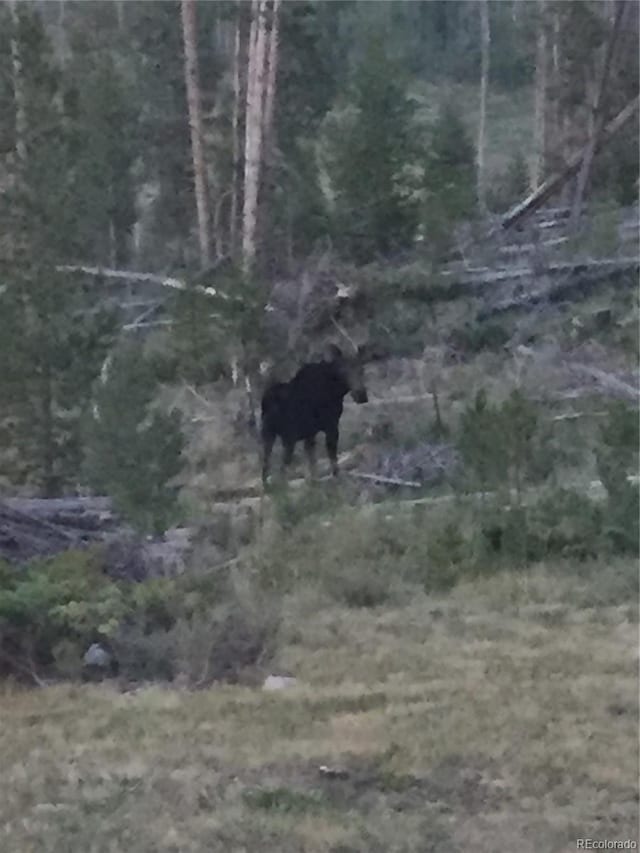 1481 Gcr 452, Granby, CO 80446 - photo 25