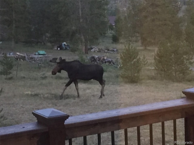 1481 Gcr 452, Granby, CO 80446 - photo 26