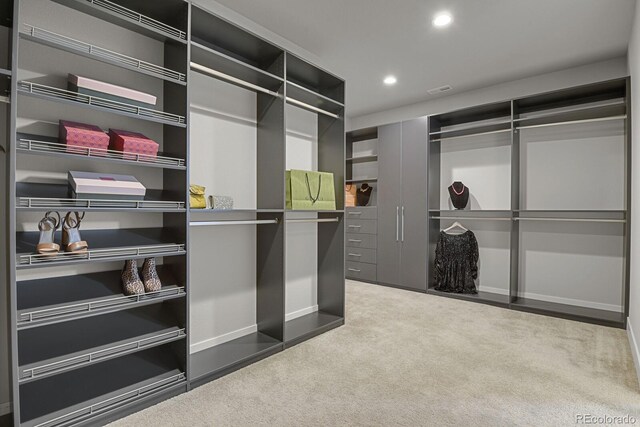 spacious closet with carpet floors