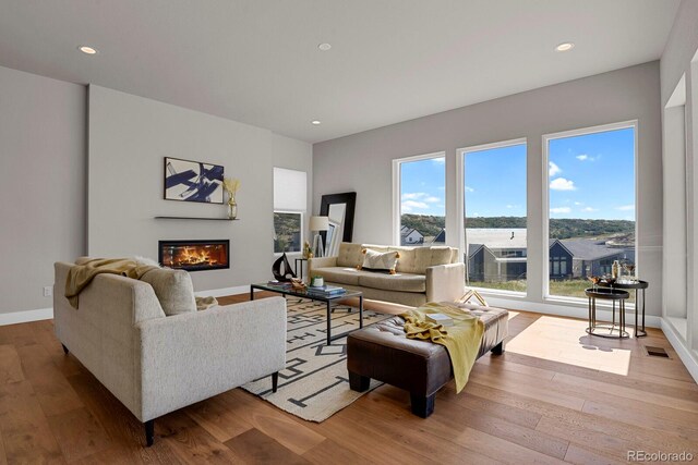 living room featuring light hardwood / wood-style flooring