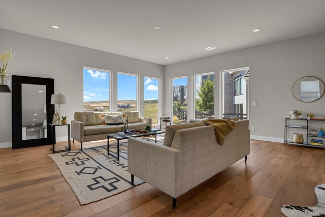 living room featuring light wood-type flooring