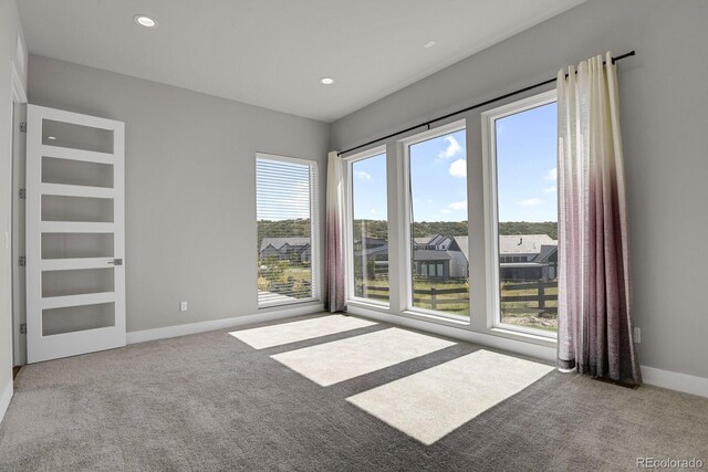 spare room with plenty of natural light and carpet flooring