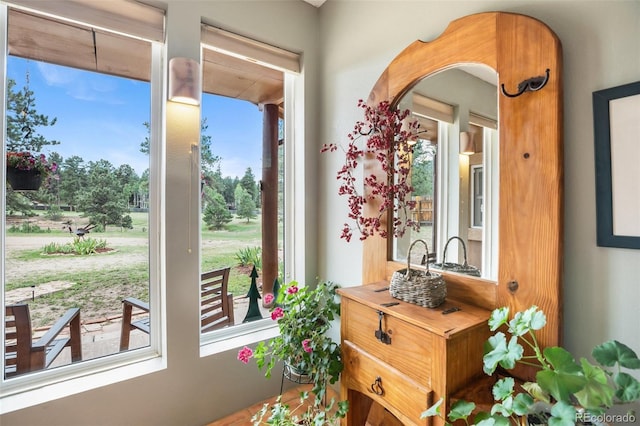 120 Blue Sky Ave, Woodland Park, CO 80863 - view of entryway