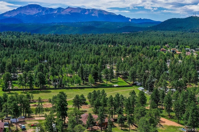 bird's eye view with a mountain view