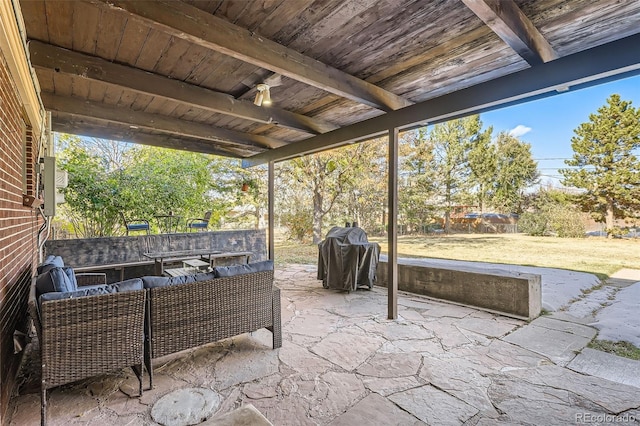 view of patio / terrace with an outdoor hangout area and grilling area