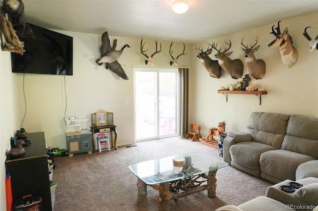 541 Park Blvd, Brighton, CO 80603 - photo 7