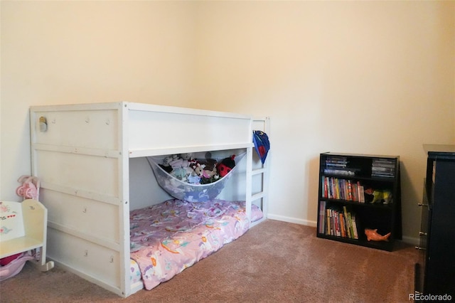541 Park Blvd, Brighton, CO 80603 - photo 9