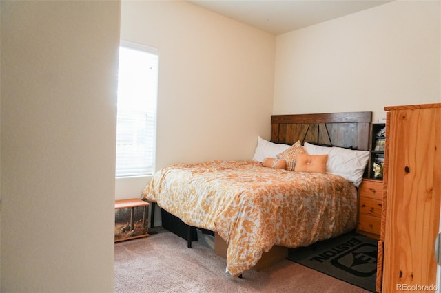541 Park Blvd, Brighton, CO 80603 - photo 10