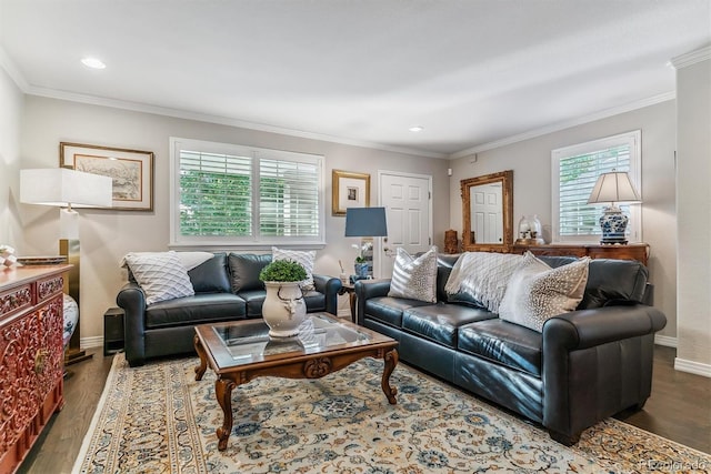 living area featuring a healthy amount of sunlight, crown molding, baseboards, and wood finished floors