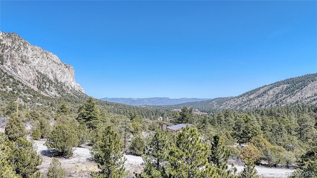 property view of mountains with a wooded view