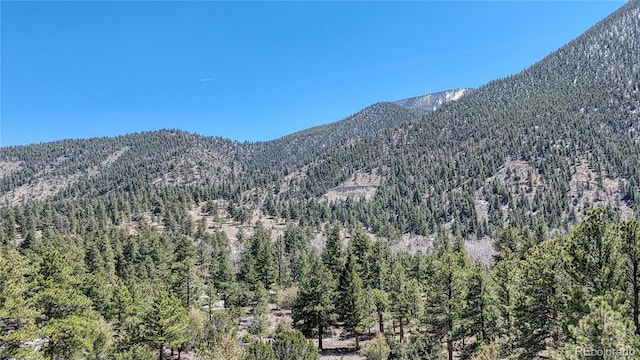 view of mountain feature featuring a view of trees