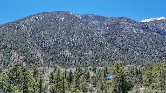 property view of mountains with a forest view