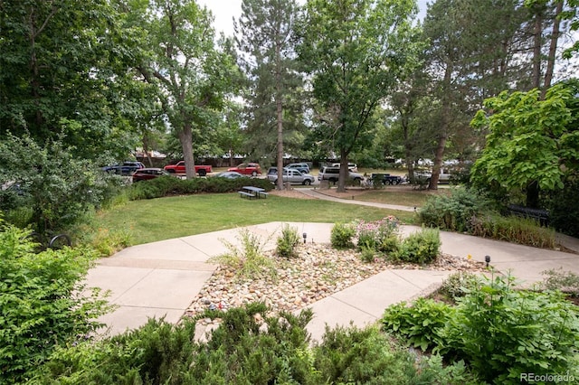 2711 Mapleton Ave Unit 1, Boulder, CO 80304 - photo 18