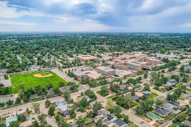 1314 16th Ave, Greeley, CO 80631 - photo 16