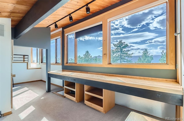 interior space with light carpet, wooden ceiling, a wealth of natural light, and track lighting