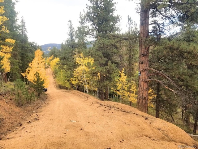 342 Brown St, Bailey, CO 80421 - photo 2