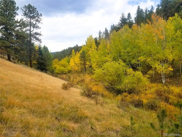 342 Brown St, Bailey, CO 80421 - photo 4
