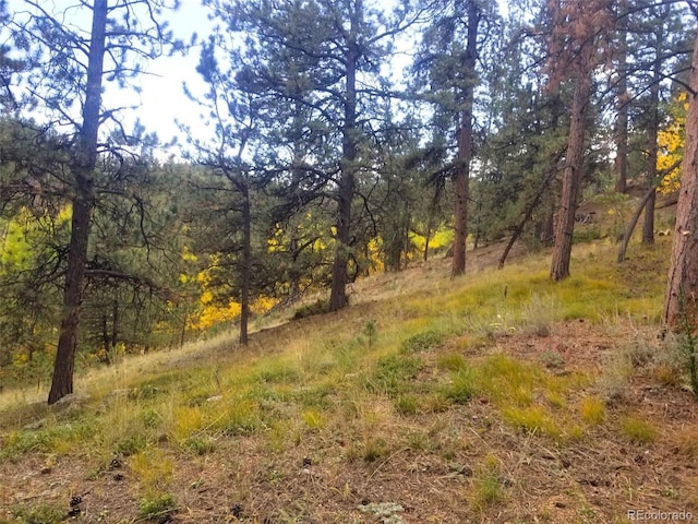 342 Brown St, Bailey, CO 80421 - photo 5