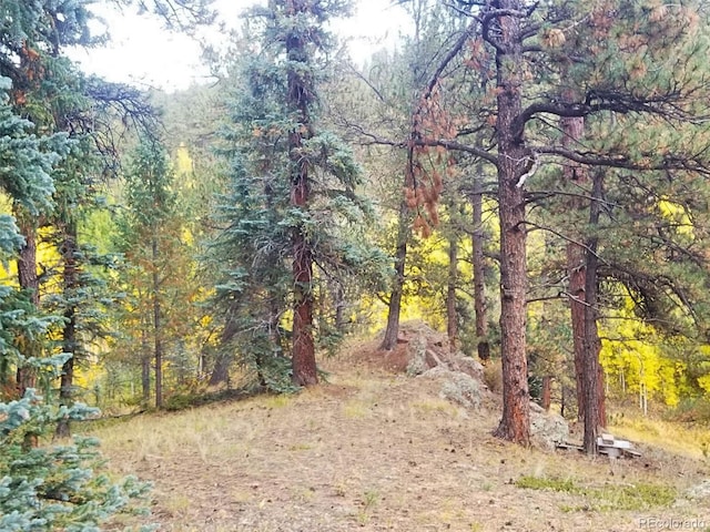342 Brown St, Bailey, CO 80421 - photo 6