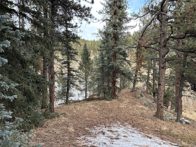 342 Brown St, Bailey, CO 80421 - photo 8