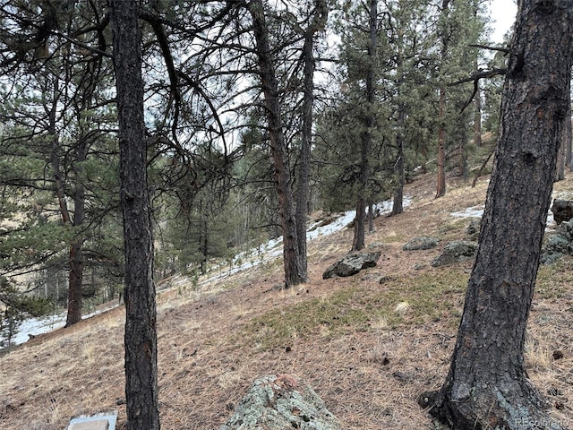 342 Brown St, Bailey, CO 80421 - photo 9