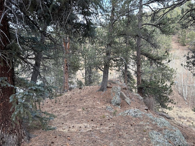 342 Brown St, Bailey, CO 80421 - photo 10