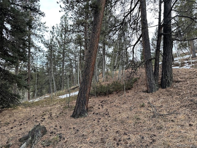 342 Brown St, Bailey, CO 80421 - photo 12