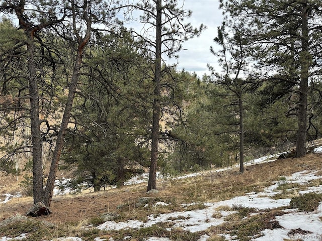 342 Brown St, Bailey, CO 80421 - photo 13