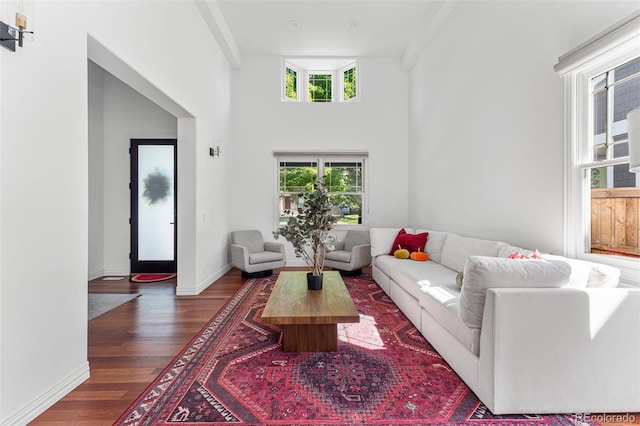 living room featuring dark hardwood / wood-style floors and a towering ceiling