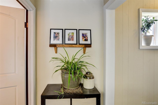 704 E 6th St, Leadville, CO 80461 - photo 33