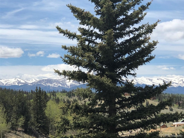 446 Chief Trl, Como, CO 80456 - view of mountain backdrop featuring a forest