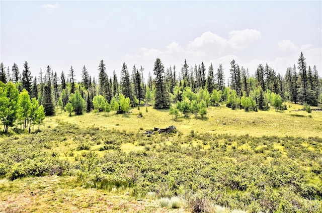 446 Chief Trl, Como, CO 80456 - view of local wilderness