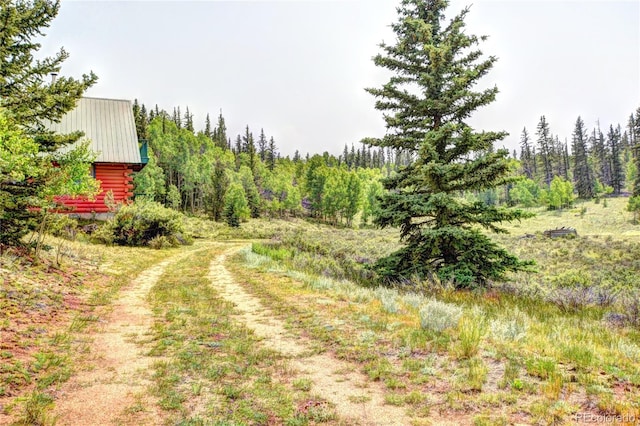 446 Chief Trl, Como, CO 80456 - view of road