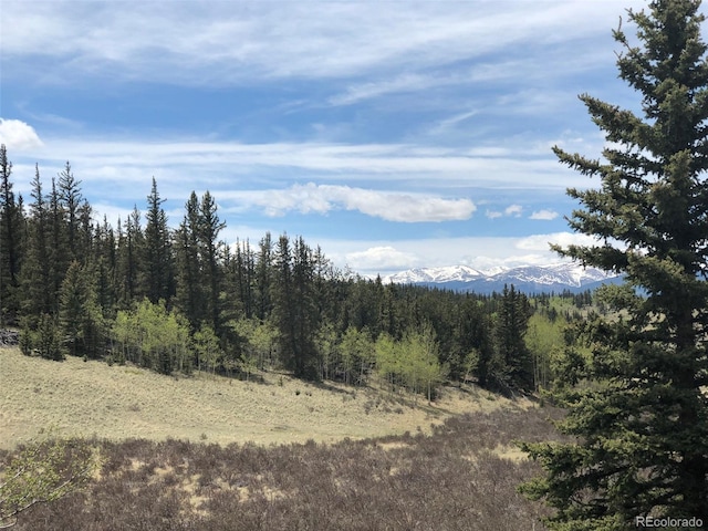 446 Chief Trl, Como, CO 80456 - view of tree filled area featuring a mountain view
