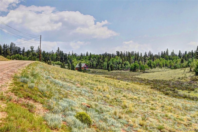 446 Chief Trl, Como, CO 80456 - view of woods with a rural view