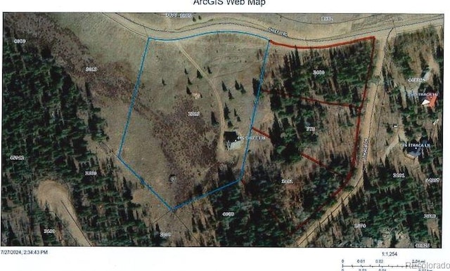 446 Chief Trl, Como, CO 80456 - map / location with property parcel outlined