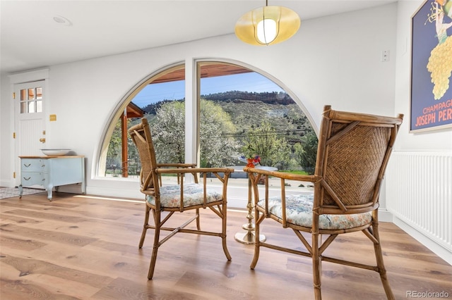 1669 Apple Valley Rd, Lyons, CO 80540 - living area with wood finished floors